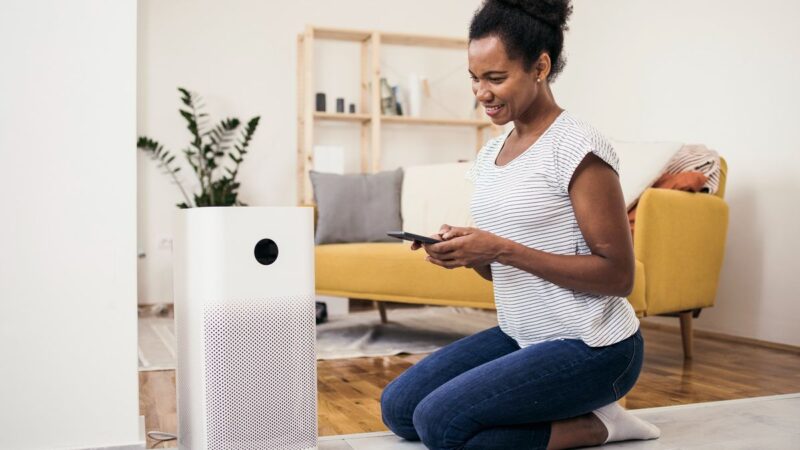 The Best Air Purifiers for 2024